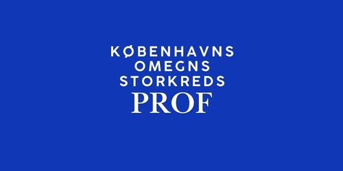 FV26 Københavns Omegns Storkreds – PROF 🟠