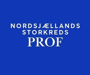 FV26 Nordsjællands storkreds - PROF 🟠