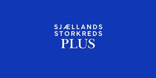 FV26 Sjællands Storkreds – PLUS 🟢