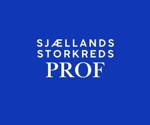 FV26 Sjællands Storkreds - PROF 🟠