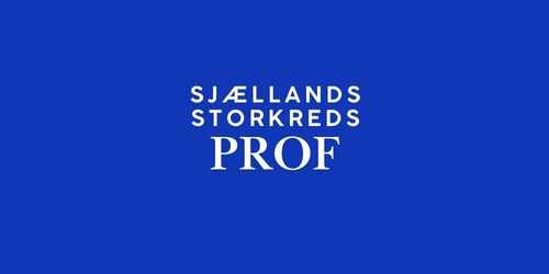 FV26 Sjællands Storkreds – PROF 🟠