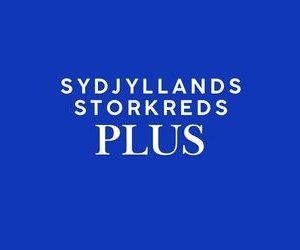 FV26 Sydjyllands Storkreds - PLUS 🟢
