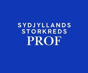 FV26 Sydjyllands Storkreds - PROF 🟠