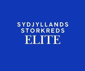 FV26 Sydjyllands Storkreds - ELITE 🔴