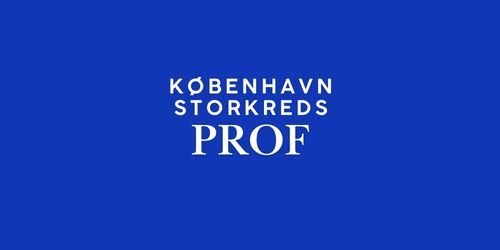 FV26 Københavns Storkreds – PROF 🟠