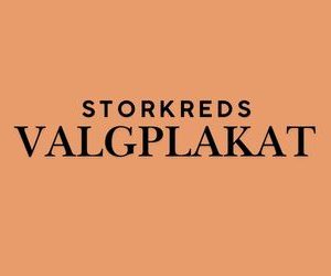 Storkreds