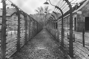 Dansk tidligere Waffen-SS-soldat identificeret som sæddonor i 1960’erne